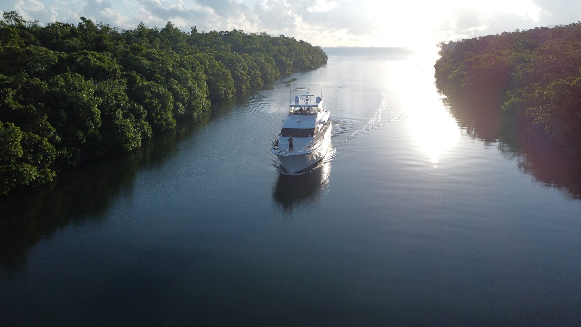 A yacht anchored off the Belize coast where mangrove meets turquoise sea